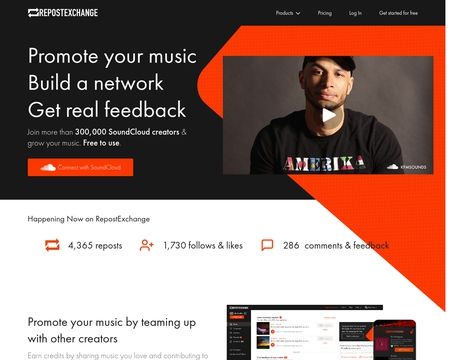 website thubmnail of RepostExchange