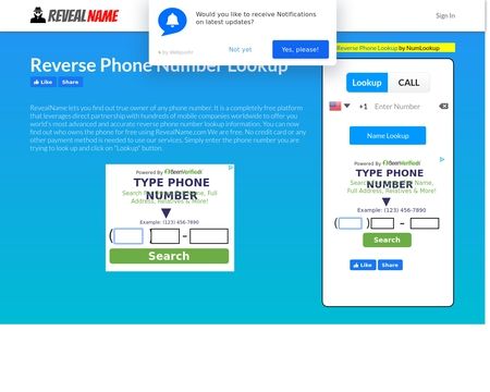 website thubmnail of RevealName