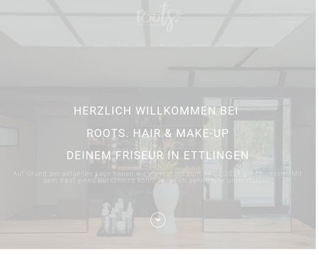 website thubmnail of Roots Hair
