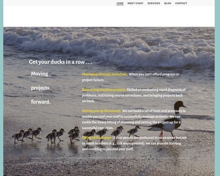 website thubmnail of RowOfDucks.net