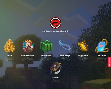 website thubmnail of Rubinmc