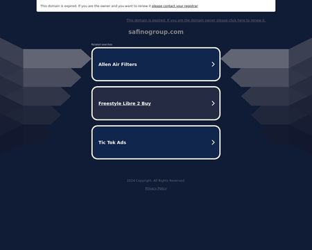 website thubmnail of Safinogroup