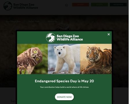 website thubmnail of San Diego Zoo