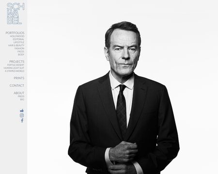 website thubmnail of SchwabelStudio
