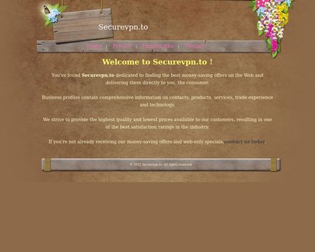 website thubmnail of SecureVPN.to