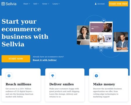 website thubmnail of Sellvia