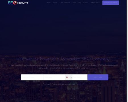 website thubmnail of Seo Disrupt