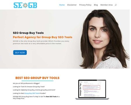 website thubmnail of Seogb.org
