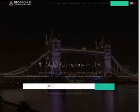 website thubmnail of SEO PROHUB UK