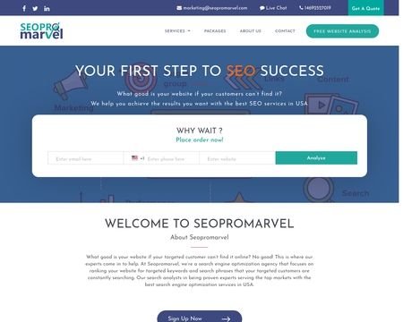 website thubmnail of SEOPROmarvel