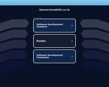 website thubmnail of SEO Services Delhi