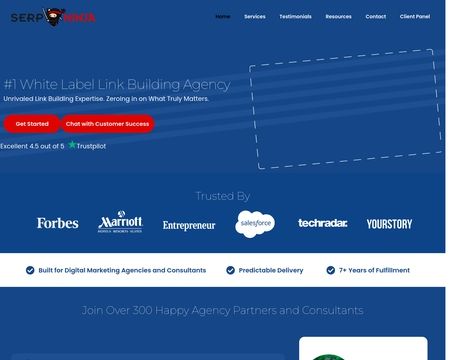 website thubmnail of Serpninja.io