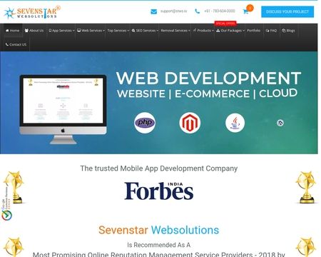 website thubmnail of Sevenstar Websolutions