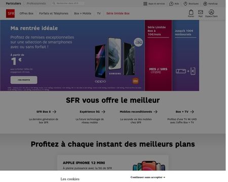 website thubmnail of SFR