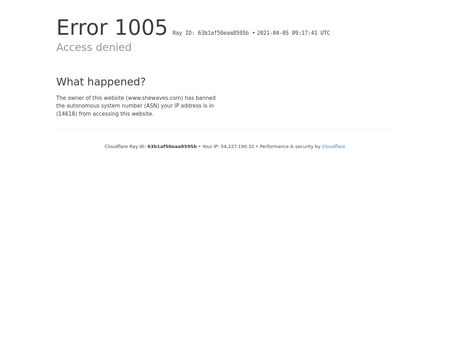 website thubmnail of Shewaves