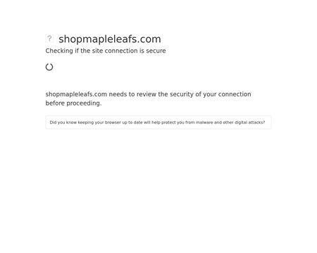website thubmnail of Toronto Maple Leafs