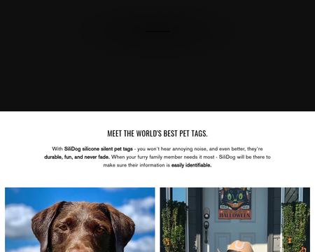 website thubmnail of SiliDog