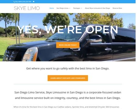 website thubmnail of Skye Limo Rental Service