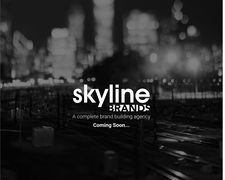 Thumbnail of Skylinebrands.com