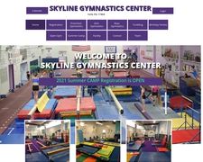 Thumbnail of Skylinegym
