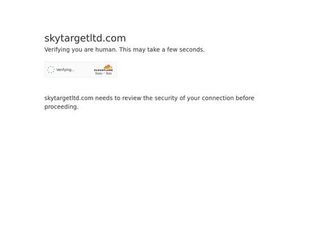website thubmnail of Skytargetltd