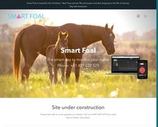 Thumbnail of Smart Foal