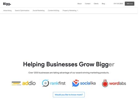 website thubmnail of Bigg