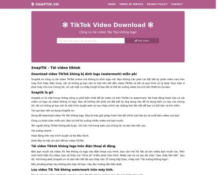 website thubmnail of Snaptik.vn