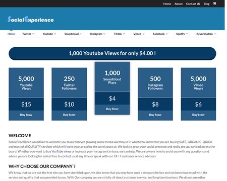 website thubmnail of SocialExperience