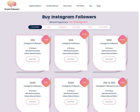website thubmnail of SocialFollowers