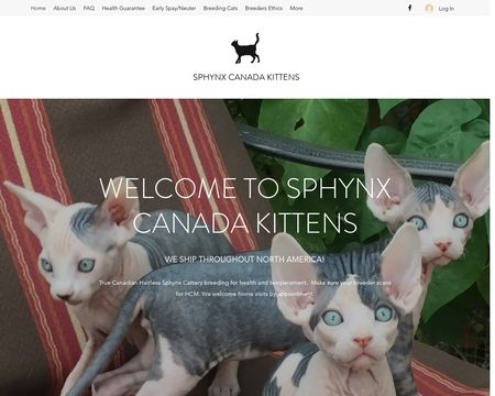 website thubmnail of Sphynx.ca