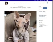 Thumbnail of Sphynxcatsblack.com
