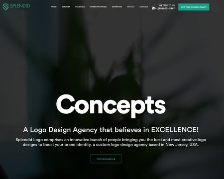 website thubmnail of Splendid Logo