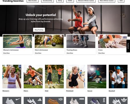 website thubmnail of SportChek.ca
