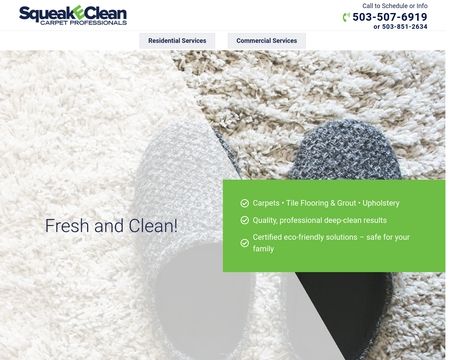 website thubmnail of Squeakecleancarpets