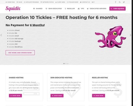 website thubmnail of Squidix
