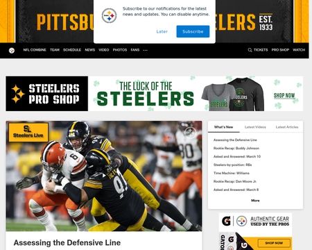 website thubmnail of Pittsburgh Steelers