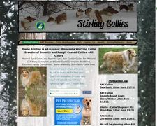 Thumbnail of StirlingCollies.com, Minnesota, Collie Puppies