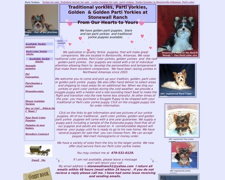 Parti Yorkies