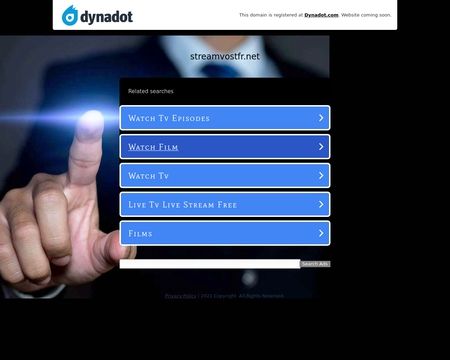 website thubmnail of Streamvostfr.net