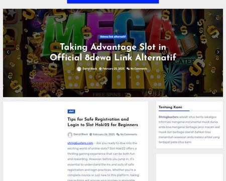 website thubmnail of Stringbusters