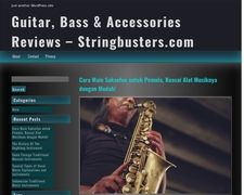 Thumbnail of Stringbusters
