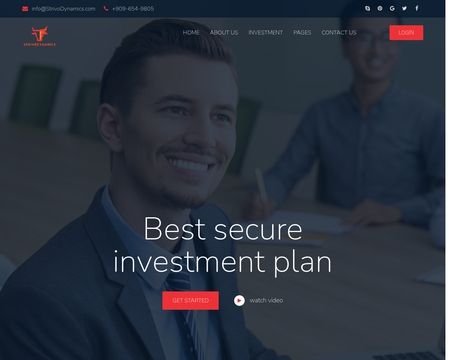 website thubmnail of StrivoDynamics