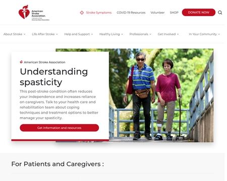 website thubmnail of National Stroke Association