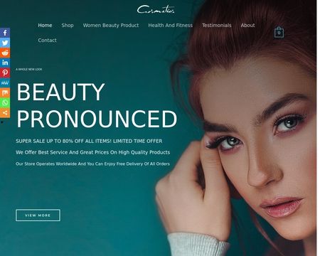 website thubmnail of Style.skyexpress.store