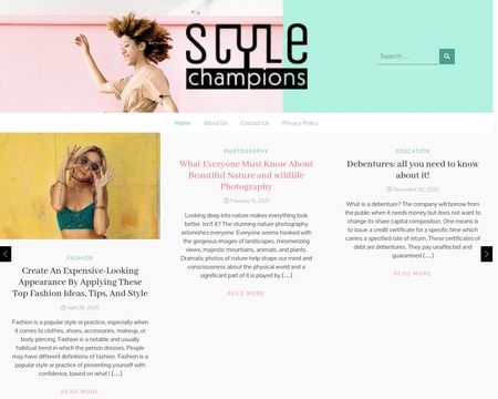 website thubmnail of Stylechampions