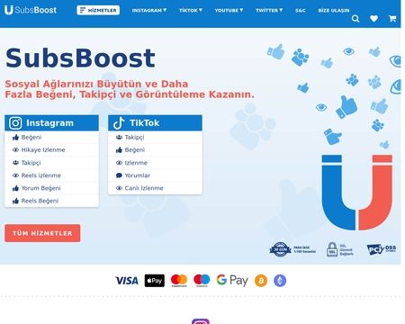 website thubmnail of Subsboost