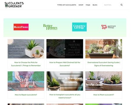 website thubmnail of Succulentsgreener