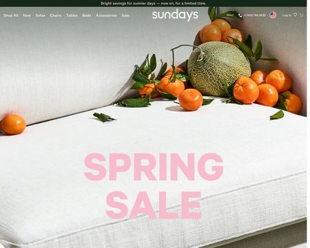 website thubmnail of Sundays