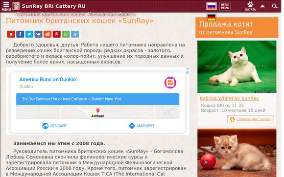 Thumbnail of Sunny-cat.ru